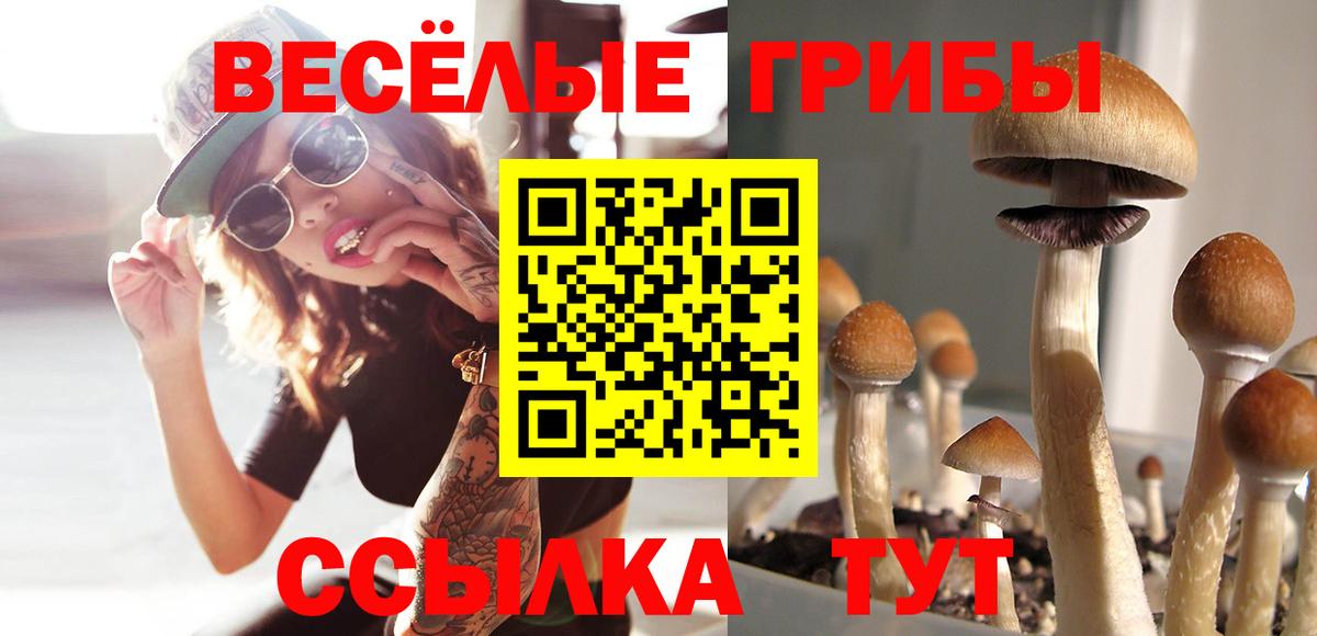 Великий Устюг  Галлюциногенные грибы прущие грибы  Вход с VPN  закладка  Псилоцибиновые грибы мицелий 